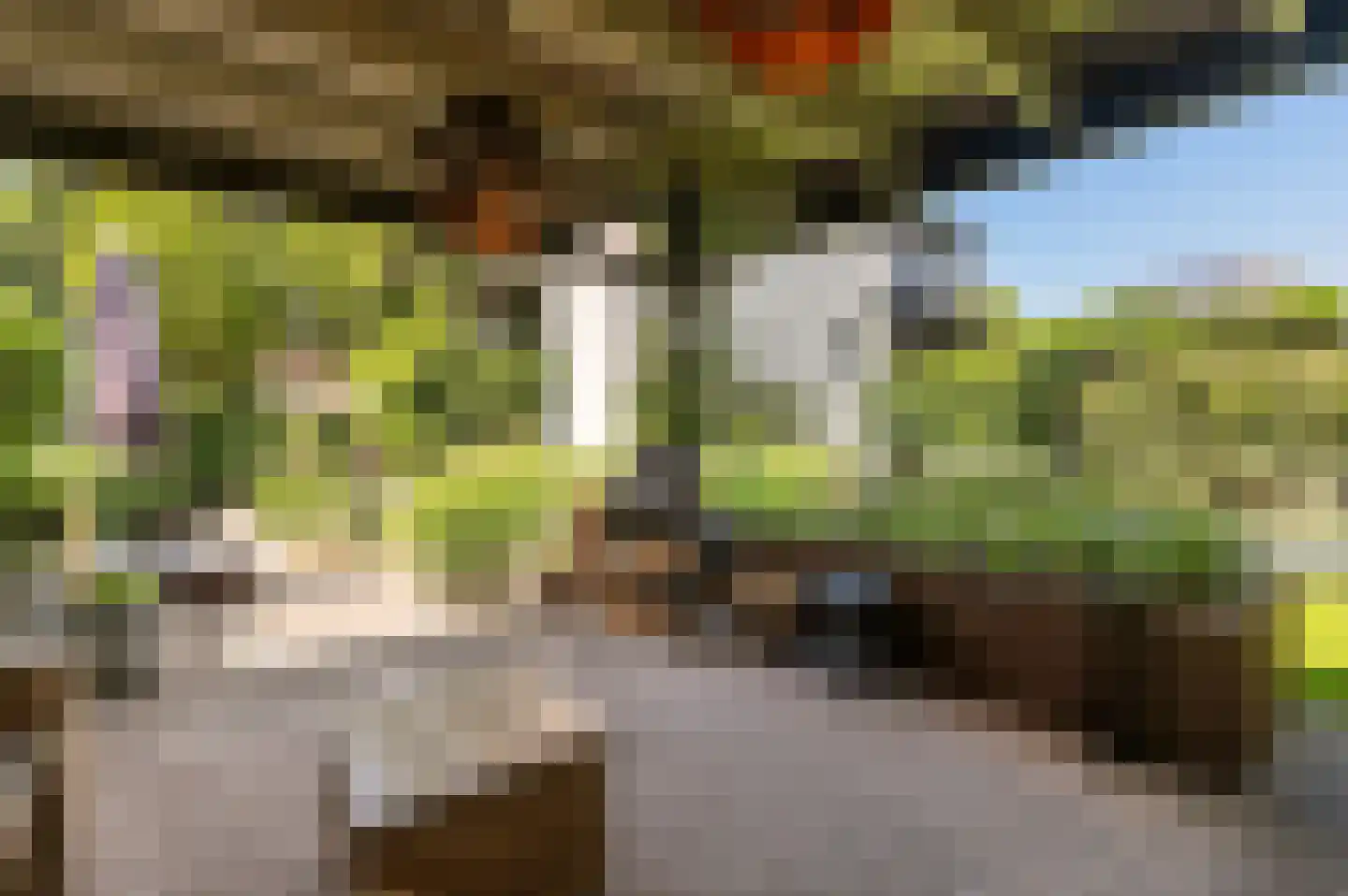 Proefsteen 18 Malden thumbnail 52