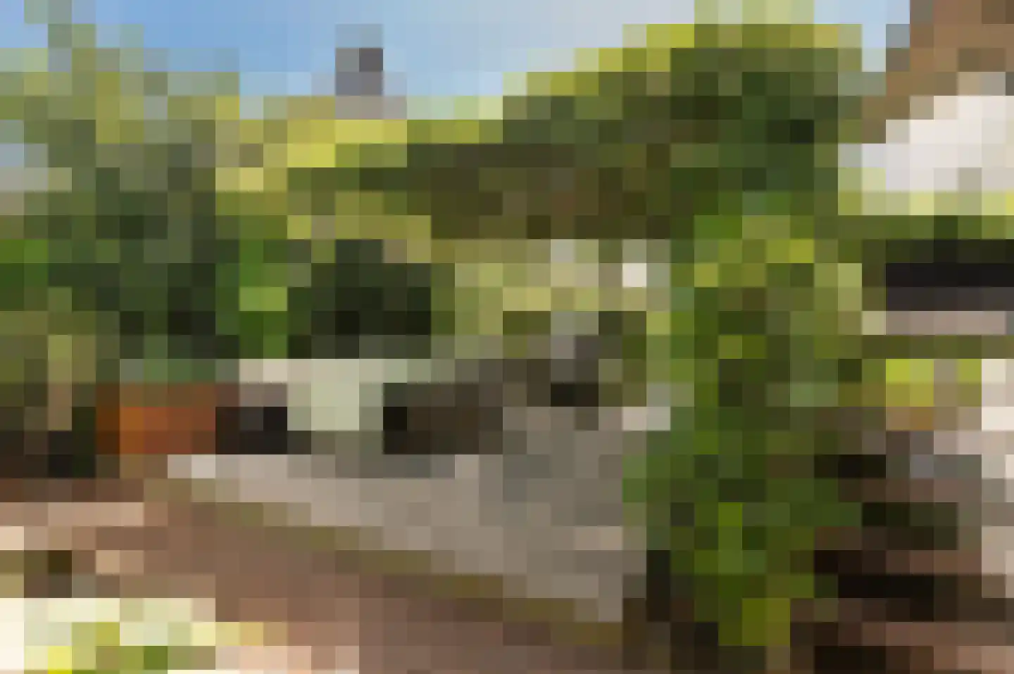 Proefsteen 18 Malden thumbnail 57