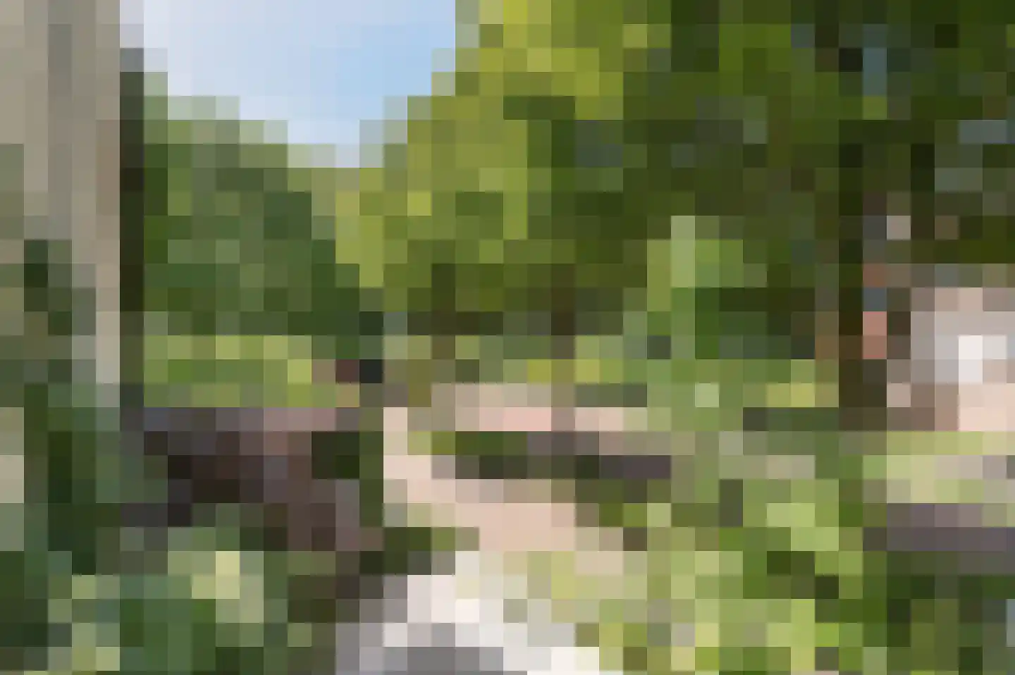 Proefsteen 18 Malden thumbnail 60