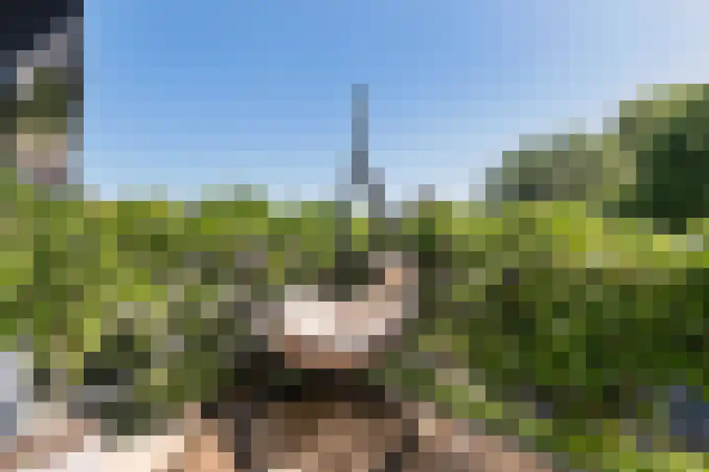 Proefsteen 18 Malden thumbnail 61