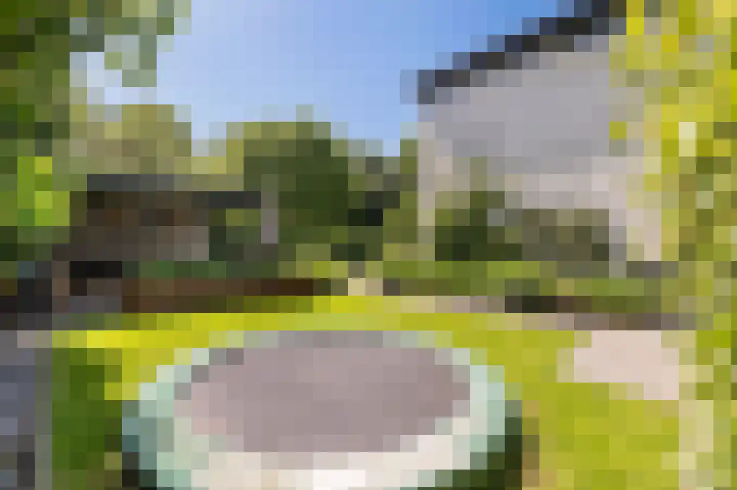 Proefsteen 18 Malden thumbnail 64