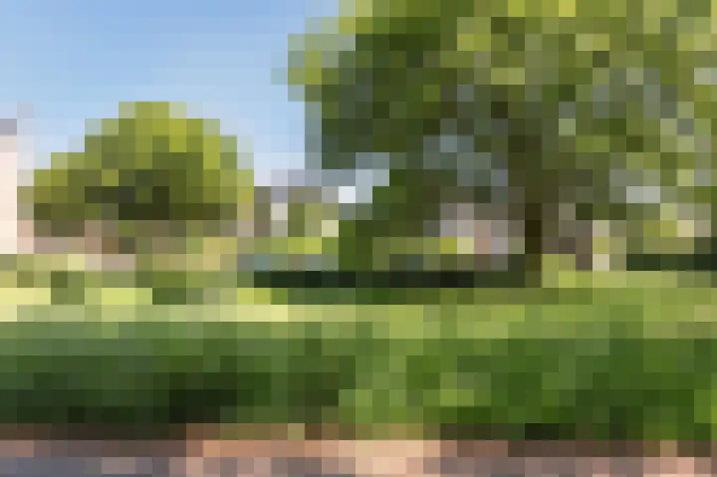 Proefsteen 18 Malden thumbnail 70