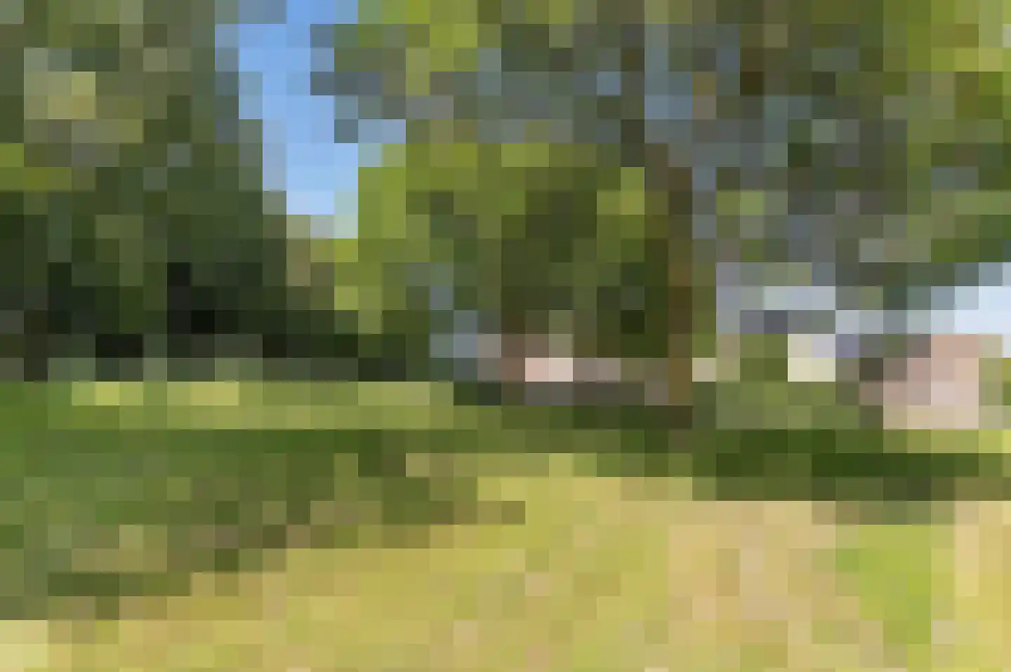 Proefsteen 18 Malden thumbnail 71