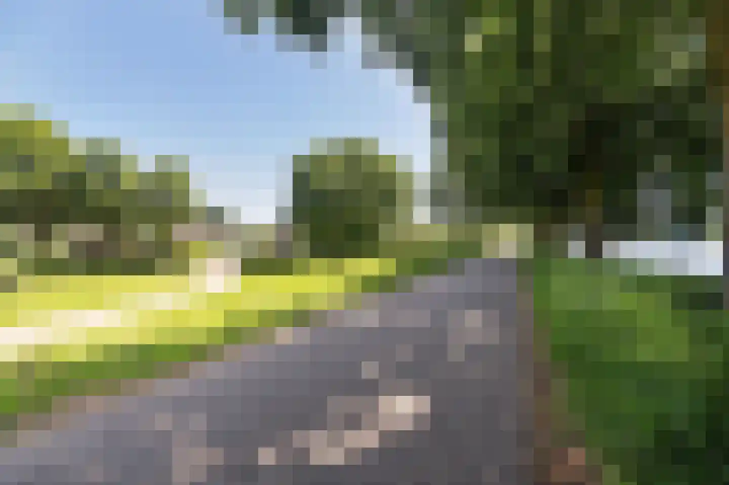 Proefsteen 18 Malden thumbnail 73