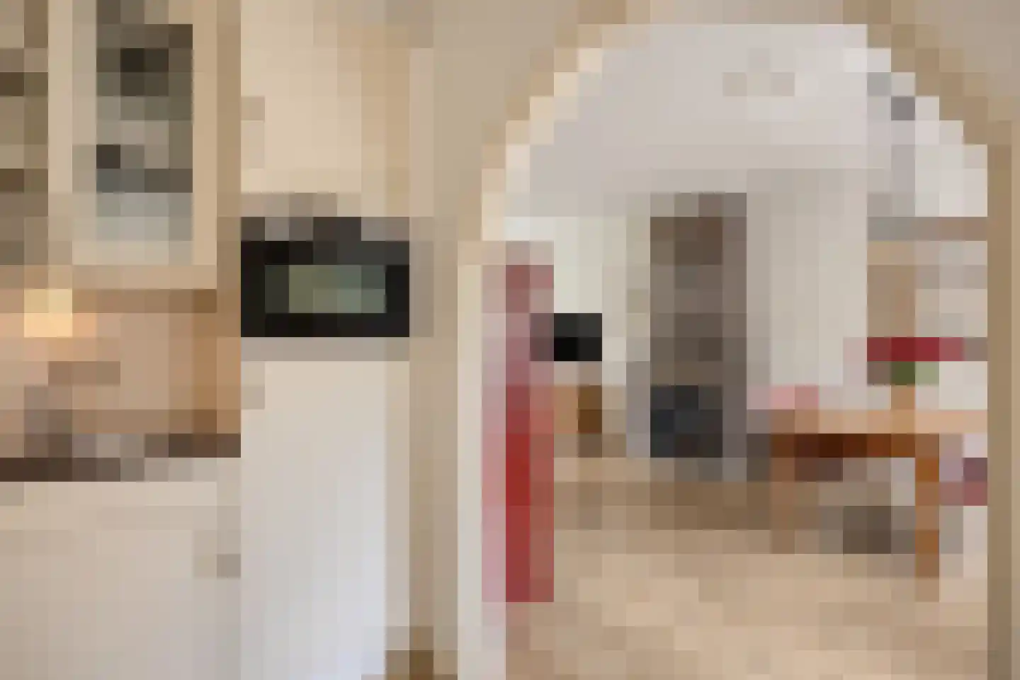 Prof Aalberselaan 9 Noordwijkerhout thumbnail 15