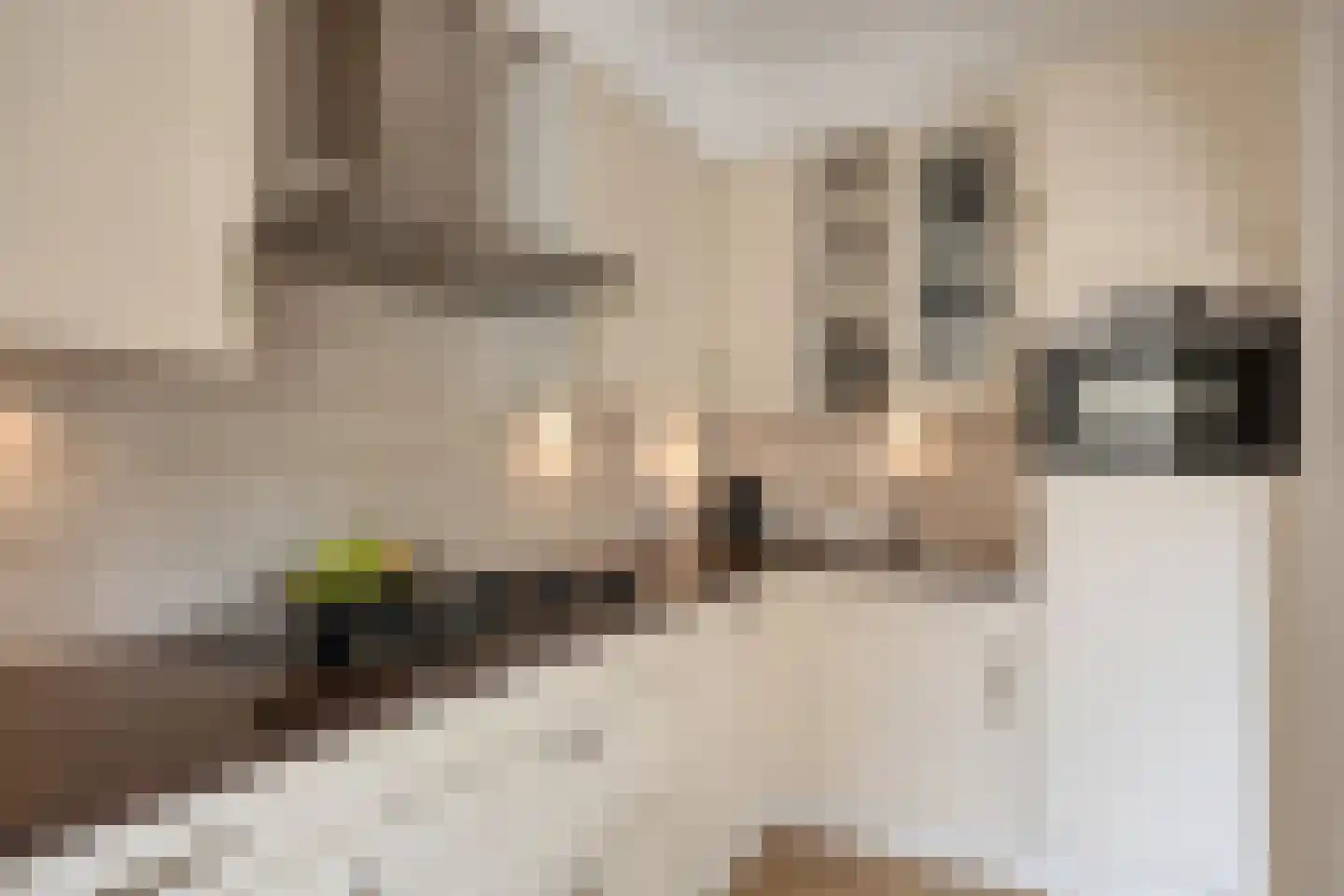 Prof Aalberselaan 9 Noordwijkerhout thumbnail 17