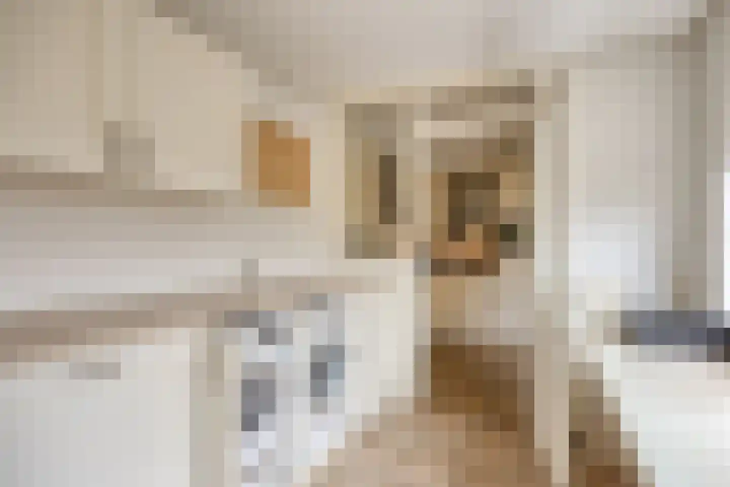 Prof Aalberselaan 9 Noordwijkerhout thumbnail 19