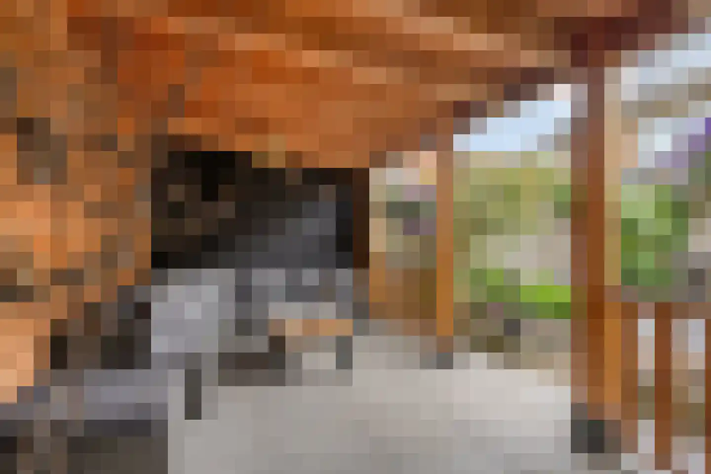Prof Aalberselaan 9 Noordwijkerhout thumbnail 42
