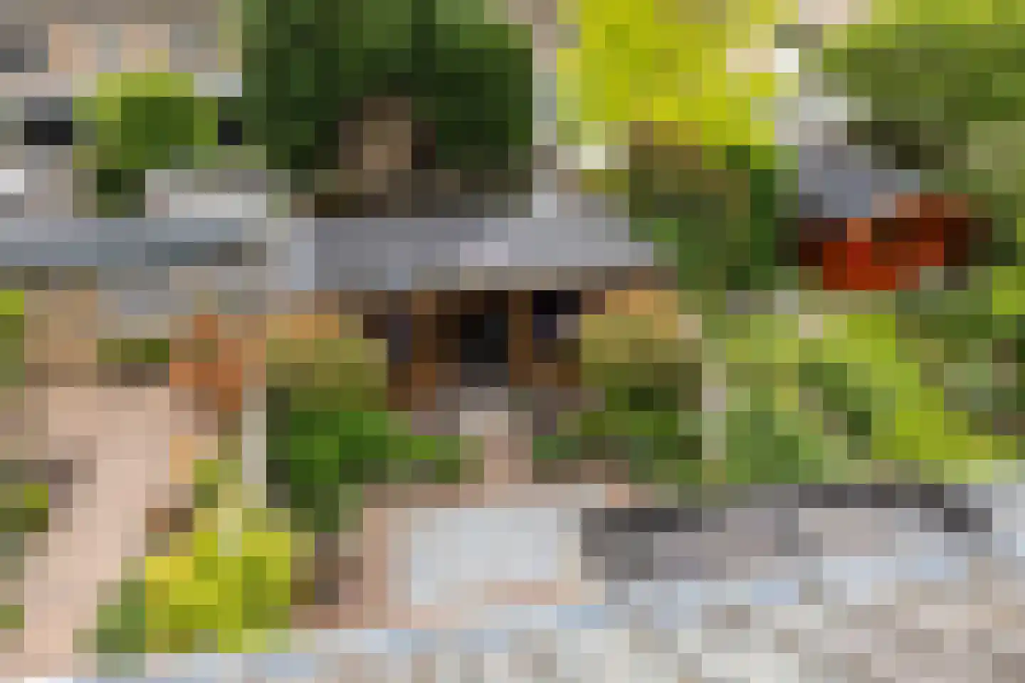 Prof Aalberselaan 9 Noordwijkerhout thumbnail 44