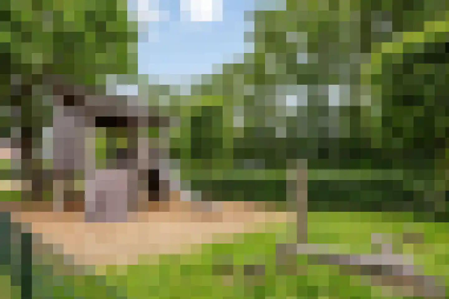 Prof Aalberselaan 9 Noordwijkerhout thumbnail 48
