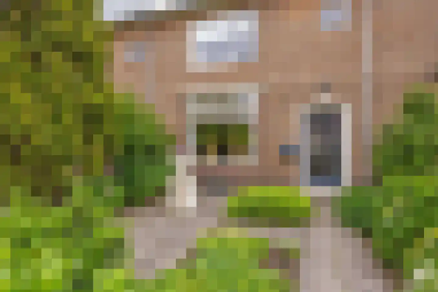 Prof Aalberselaan 9 Noordwijkerhout thumbnail 5