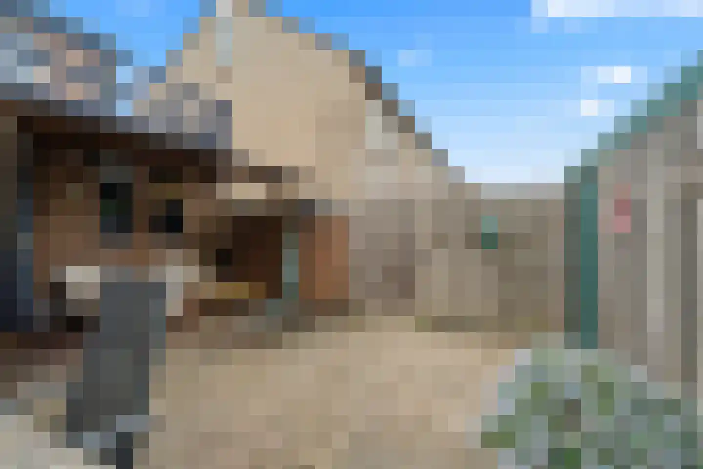 Prof. Aalbersestraat 6 Nieuwegein thumbnail 31