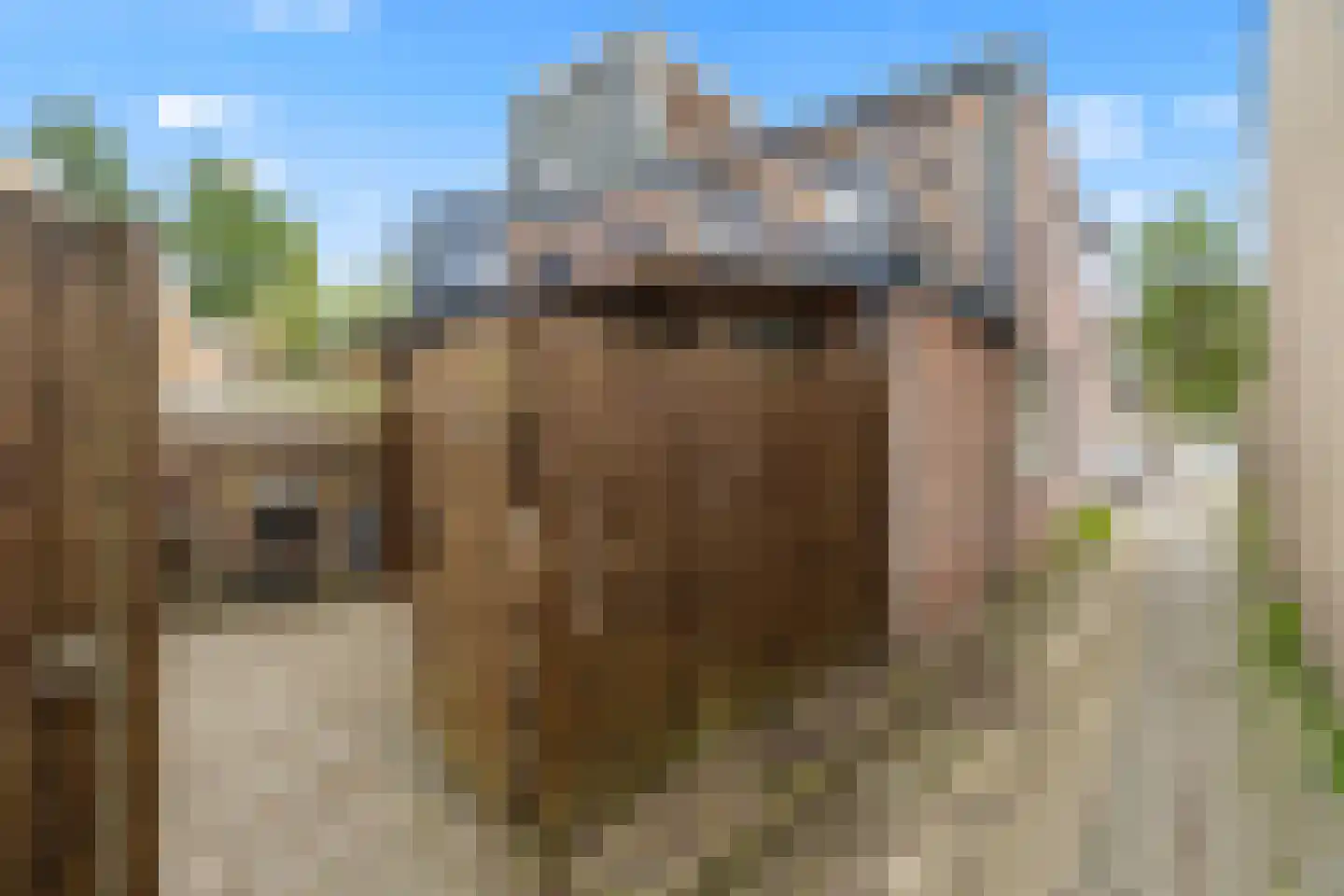 Prof. Aalbersestraat 6 Nieuwegein thumbnail 32