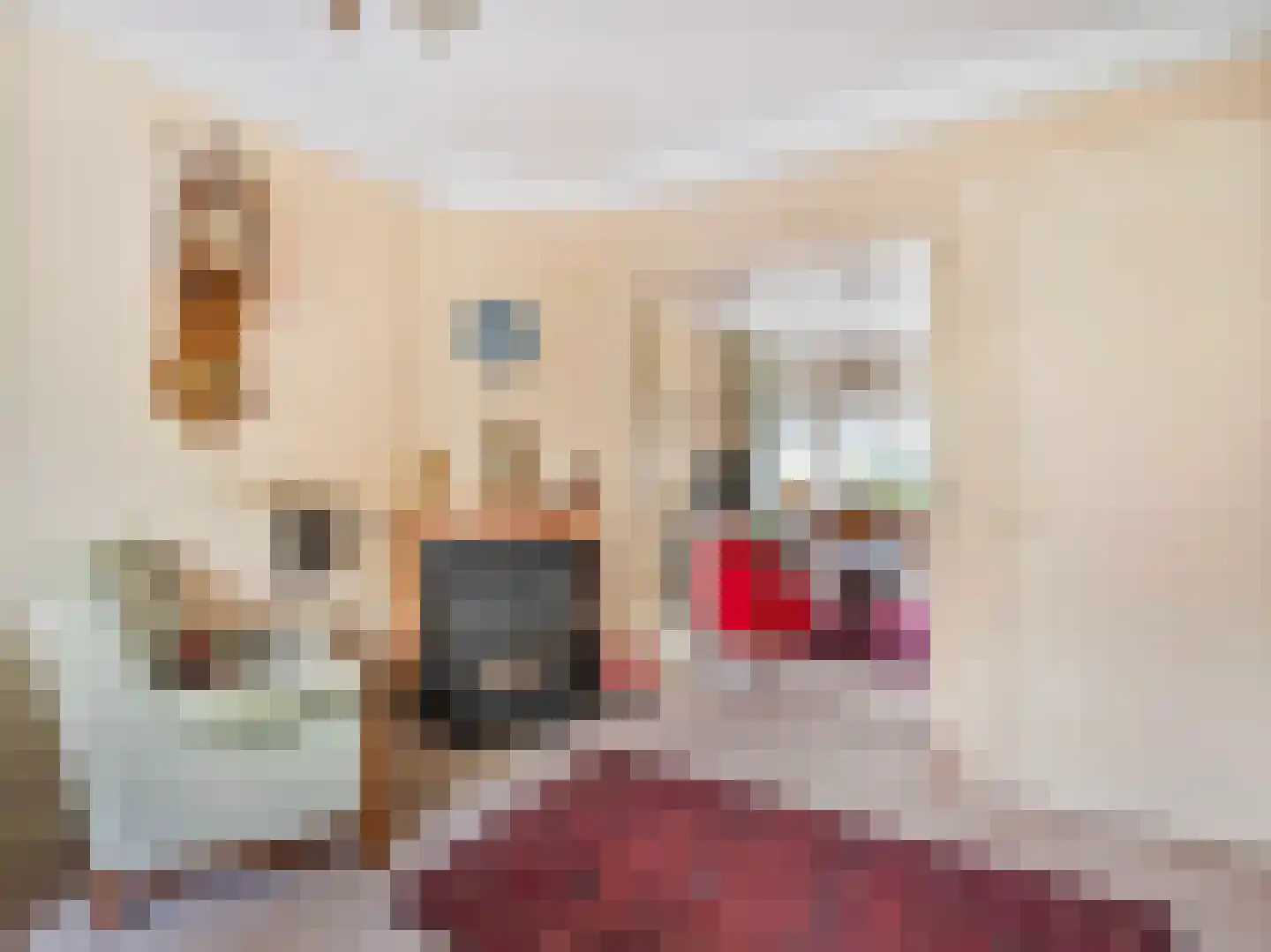 Prof. Adolf Mayerlaan 22 Utrecht thumbnail 13
