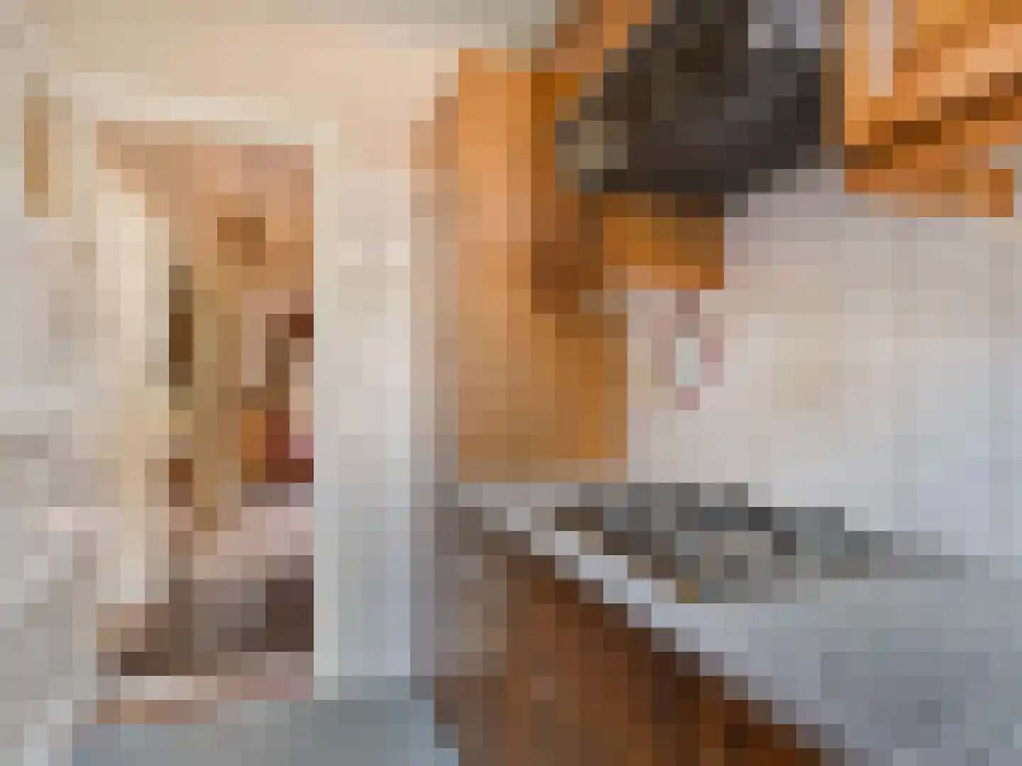 Prof. Adolf Mayerlaan 22 Utrecht thumbnail 14
