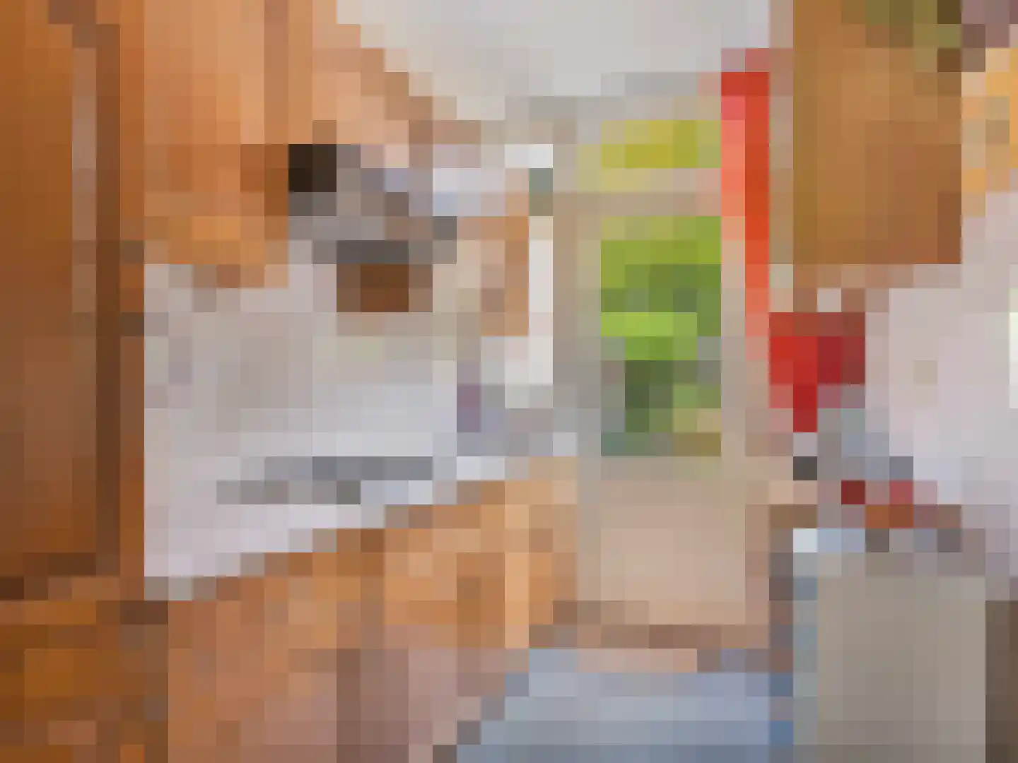 Prof. Adolf Mayerlaan 22 Utrecht thumbnail 15