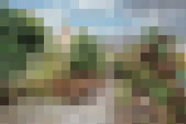 Prof. Adolf Mayerlaan 23 Utrecht thumbnail 13