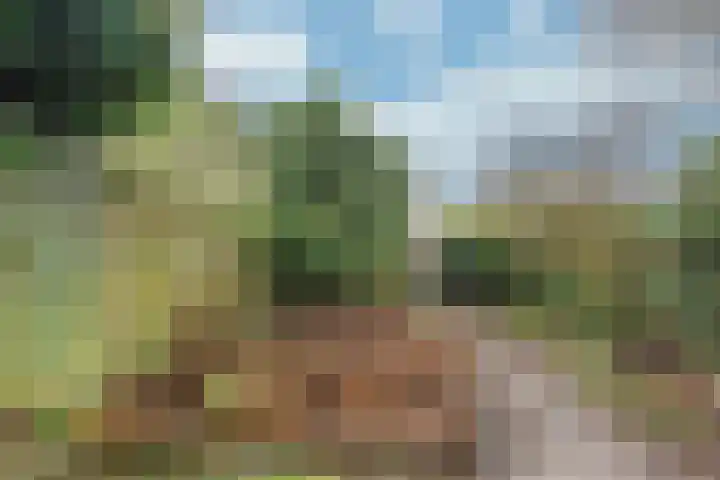Prof. Adolf Mayerlaan 23 Utrecht thumbnail 14
