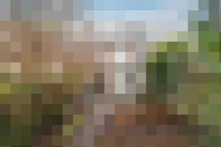 Prof. Adolf Mayerlaan 23 Utrecht thumbnail 15