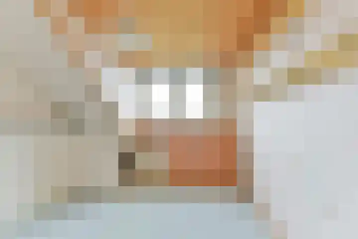 Prof. Adolf Mayerlaan 23 Utrecht thumbnail 28