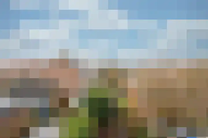 Prof. Adolf Mayerlaan 23 Utrecht thumbnail 29