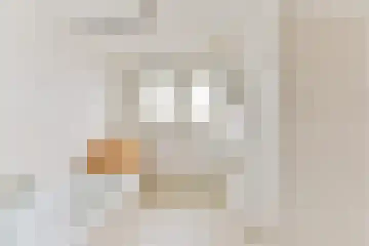 Prof. Adolf Mayerlaan 23 Utrecht thumbnail 33