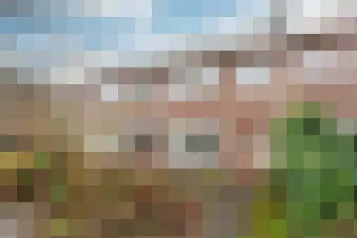 Prof. Adolf Mayerlaan 23 Utrecht thumbnail 35