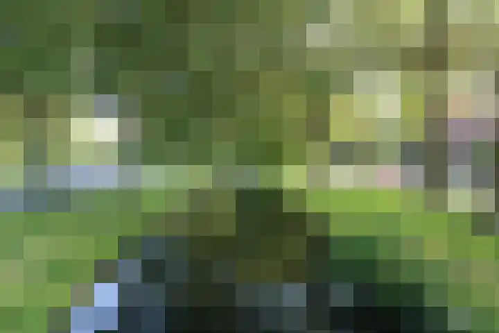 Prof. Adolf Mayerlaan 23 Utrecht thumbnail 37