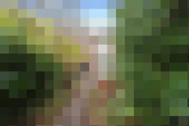 Prof. Adolf Mayerlaan 23 Utrecht thumbnail 4