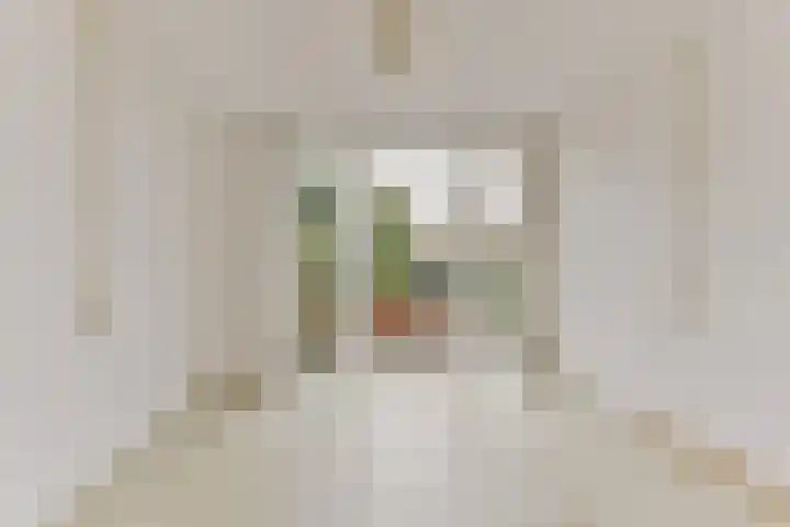 Prof. Adolf Mayerlaan 23 Utrecht thumbnail 8