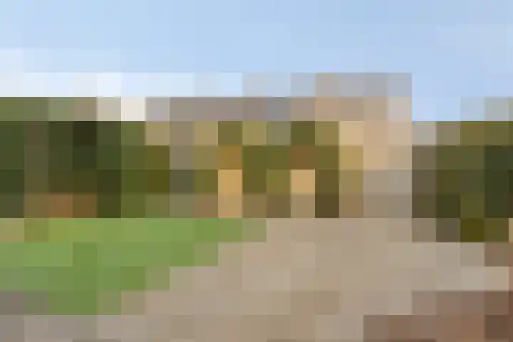 Prof. Asserlaan 2 Baarn thumbnail 30