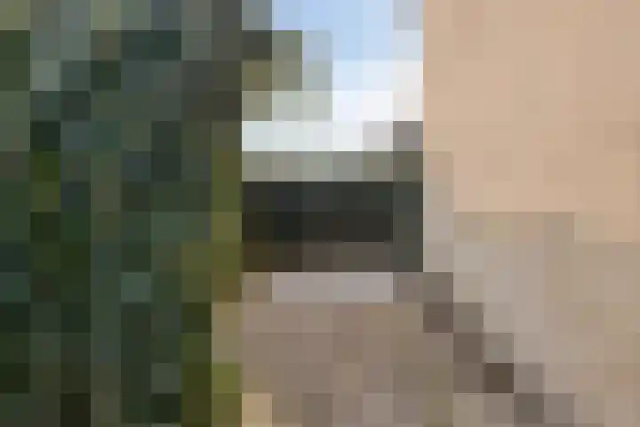 Prof. Asserlaan 2 Baarn thumbnail 32