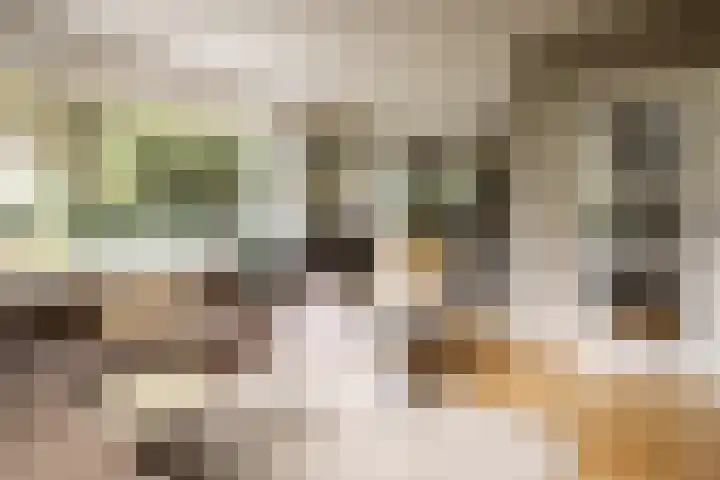 Prof. Asserlaan 4 Heemstede thumbnail 11