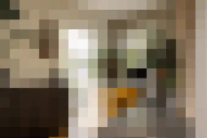 Prof. Asserlaan 4 Heemstede thumbnail 12