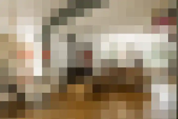 Prof. Asserlaan 4 Heemstede thumbnail 13