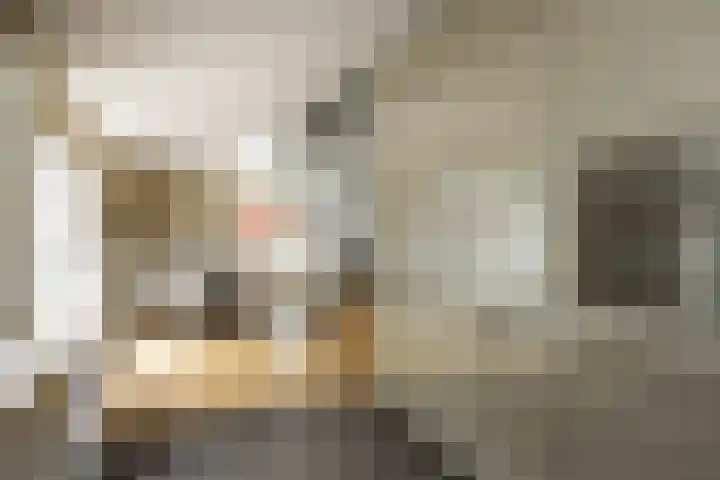 Prof. Asserlaan 4 Heemstede thumbnail 18