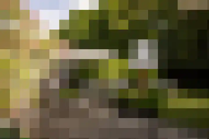 Prof. Asserlaan 4 Heemstede thumbnail 20