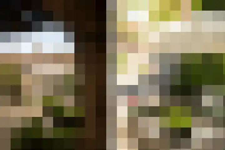 Prof. Asserlaan 4 Heemstede thumbnail 21