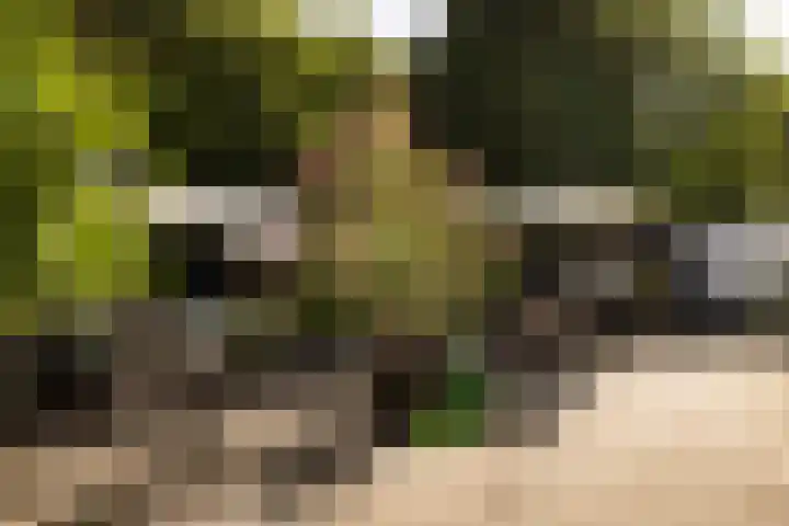 Prof. Asserlaan 4 Heemstede thumbnail 22