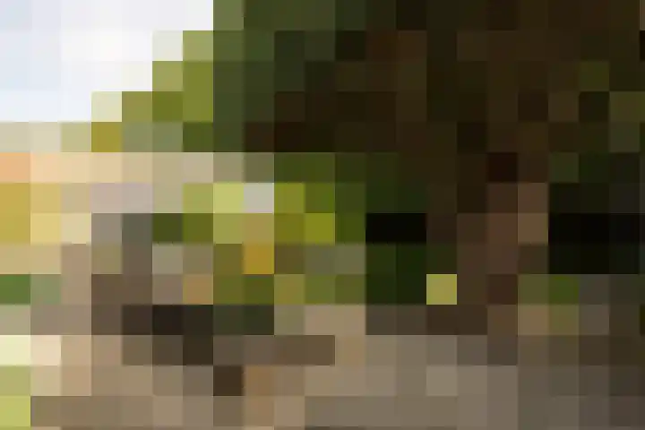 Prof. Asserlaan 4 Heemstede thumbnail 23