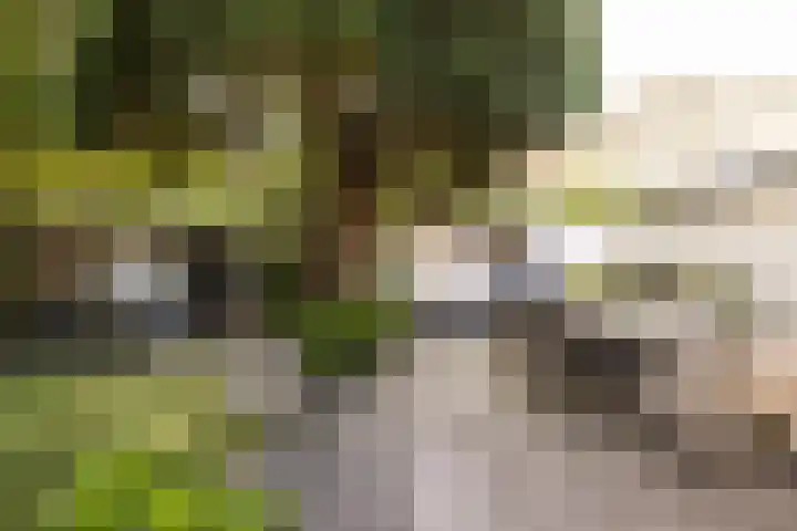 Prof. Asserlaan 4 Heemstede thumbnail 24