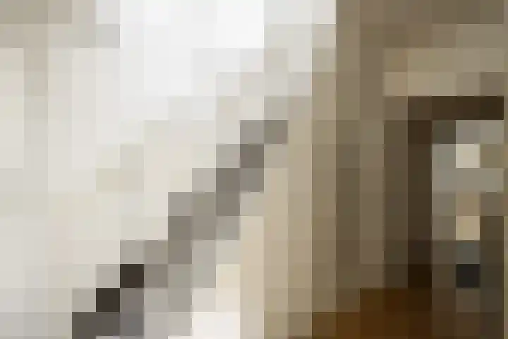 Prof. Asserlaan 4 Heemstede thumbnail 25