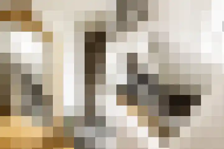 Prof. Asserlaan 4 Heemstede thumbnail 26