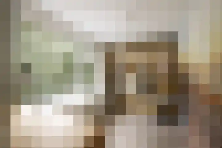 Prof. Asserlaan 4 Heemstede thumbnail 28