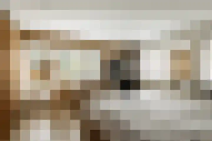 Prof. Asserlaan 4 Heemstede thumbnail 31