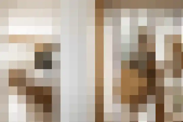 Prof. Asserlaan 4 Heemstede thumbnail 32