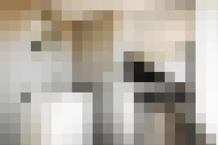 Prof. Asserlaan 4 Heemstede thumbnail 39