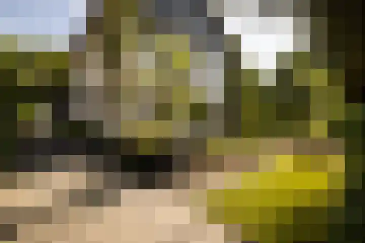 Prof. Asserlaan 4 Heemstede thumbnail 4