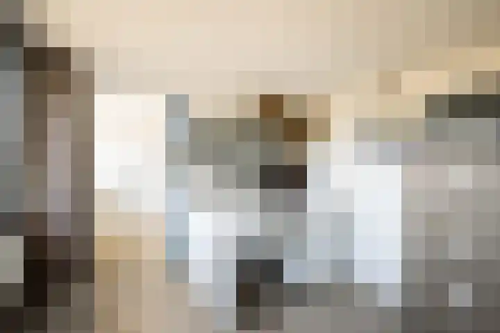 Prof. Asserlaan 4 Heemstede thumbnail 41