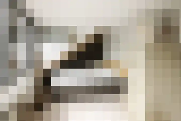 Prof. Asserlaan 4 Heemstede thumbnail 42